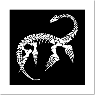 Terra Fossil Plesiosaur Dinosaur White Posters and Art